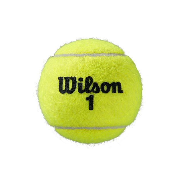 Wilson Roland Garros Clay 6x4B